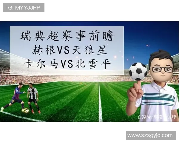 赫根与天狼星对决前瞻比分预测及分析展望